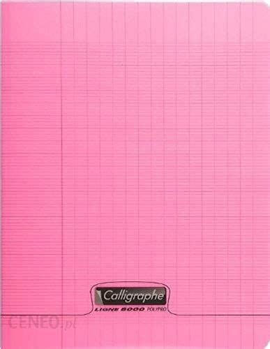 Clairefontaine 18003 C 17x22cm Seyes W Linie Zszywany Notatnik Z 16