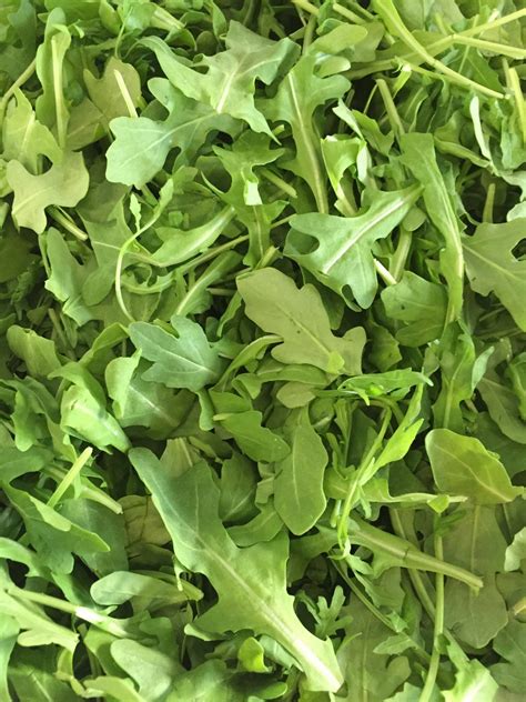 Arugula C And L Produce