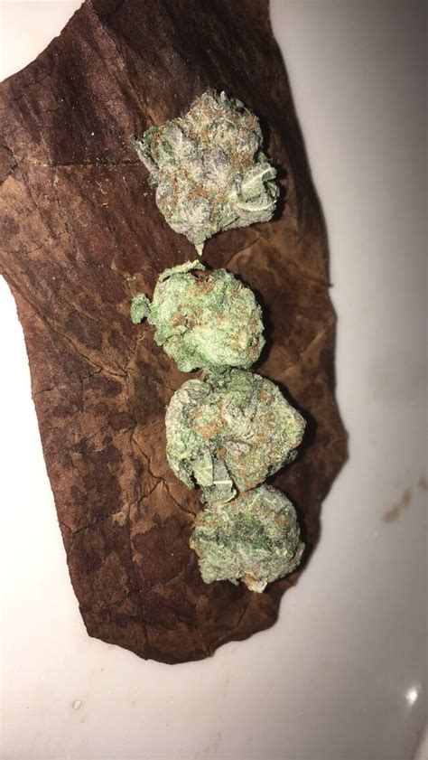 Claudia Price Armpit Porn Hot Sex Photos