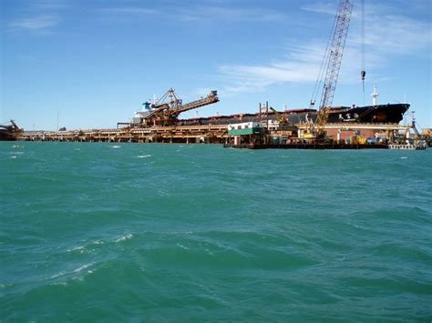 swoffa saltwater flyfishing australia   fish  dampier