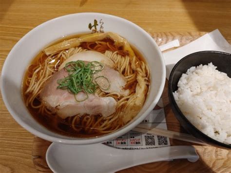 『ラーメン』らぁ麺 はやし田 Txgaおおたかの森店のレビュー ラーメンデータベース