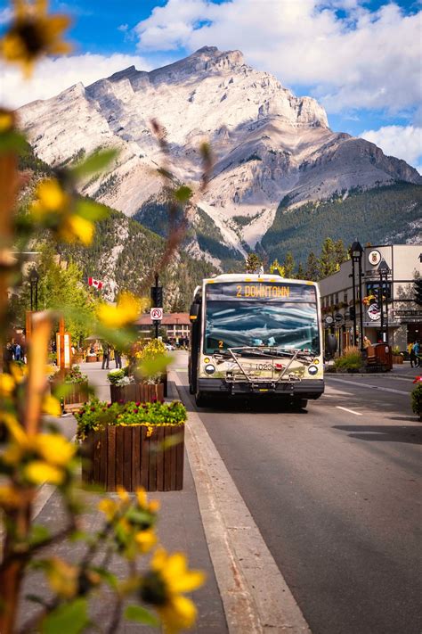 10 cheap places to stay in banff – Artofit