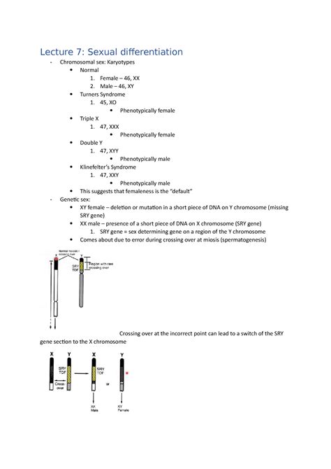ANHB2216 Lecture Notes 7 8 Lecture 7 Sexual Differentiation Chromosomal Sex Karyotypes