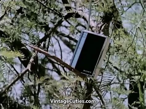 Free Vintage Dancing Porn Videos Xhamster