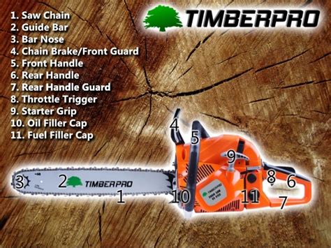 Parts Of A Chainsaw Infographic