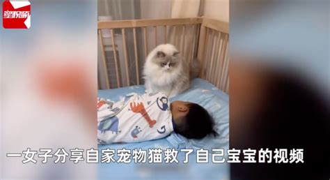 猫咪不停抓被子被吵醒发现孩子生病 喵喵队立大功新闻频道中华网