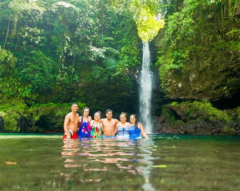 20 Animals And Birds Found In Samoa 🦜 Samoa Pocket Guide