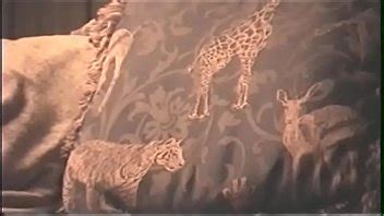 VERY HOT LONG DICK SUCK ON MY HIDDENCAM XVIDEOS