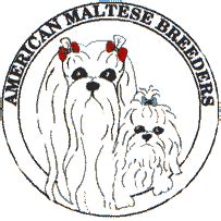 Maltese dog breeders - maltese puppies for sale