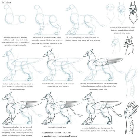 Notes On A Gryphon By Expression On Deviantart