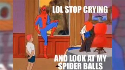Spider Man Has Made You Gay Meme Omahamserl