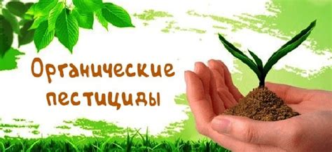 Естественные пестициды – Dez Service