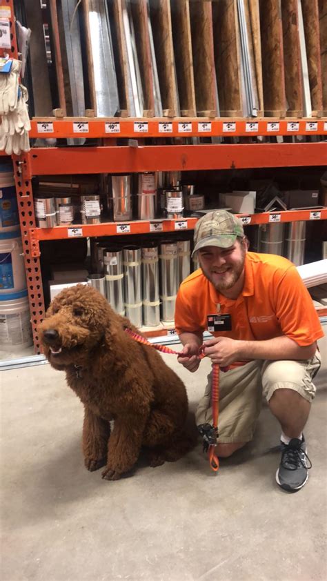 “Do y’all have any scrap wood?” : r/HomeDepot