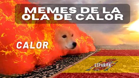 Los Mejores Memes De La Ola De Calor De El Blog De Memedroid