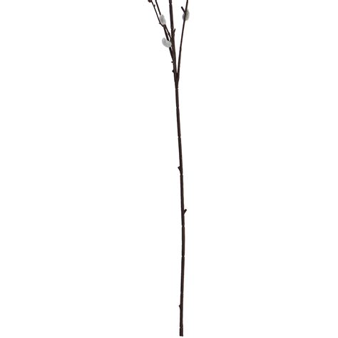 Wilko Pussy Willow Single Stem Wilko