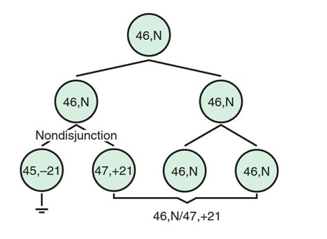 Trisomy 21 Care Of Children