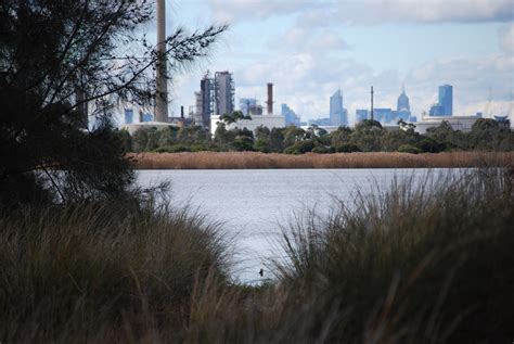 Lake And City Free Stock Photo Public Domain Pictures