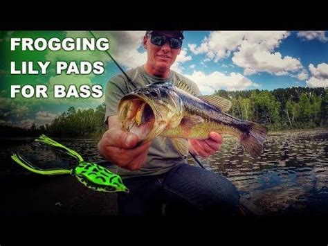 Hollow Body Frog Fishing Lily Pads For Bass YouTube Bass Fishing