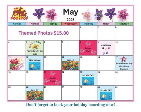 The Dog Stop - Clearwater, FL | Clearwater FL