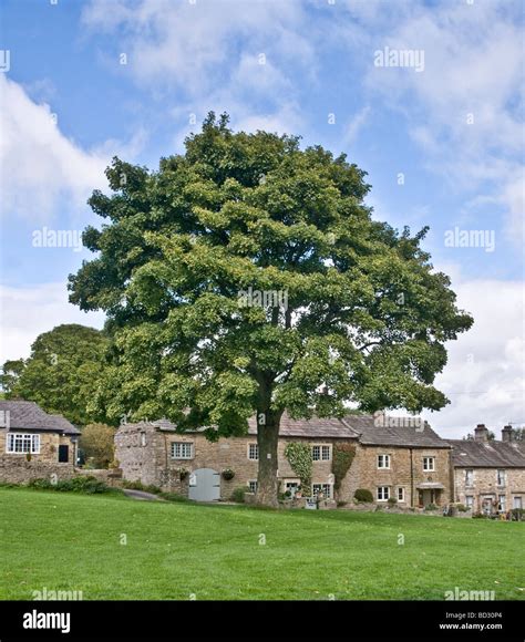 West Burton The Village Is At The Conjunction Of Bishopdale And