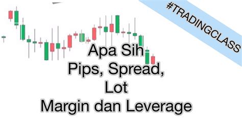 Apa Itu Pips Spread Lot Margin Dan Leverage Dalam Trading Forex