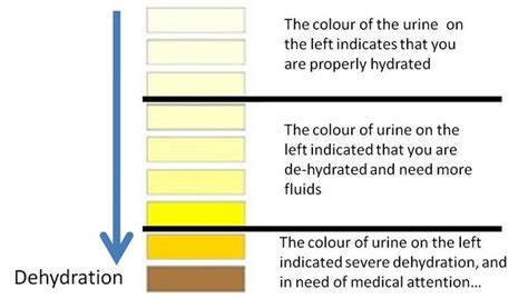 Urine Chart For Dehydration