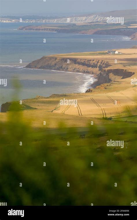 South Coast Chale Atherfield Point Compton Bay Freshwater Bay Isle