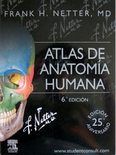 Atlas De Anatom A Humana Netter Edici N Pdf