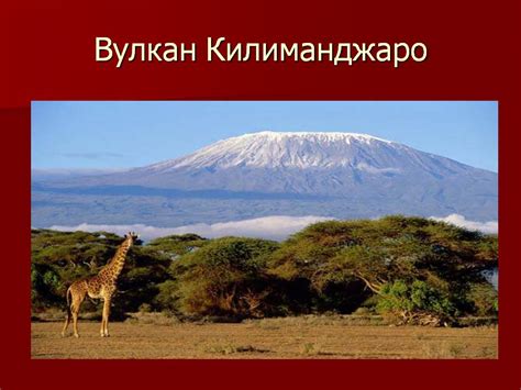 Вулкан Килиманджаро - 11119-16