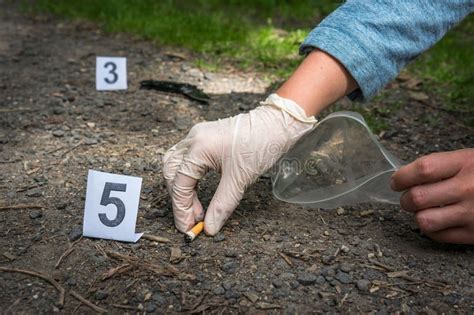 Investigator Collects Evidence Crime Scene Investigation Stock Image