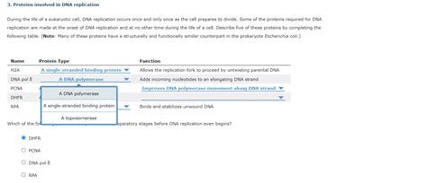 Solved 3. Proteins involved in DNA replication replication | Chegg.com