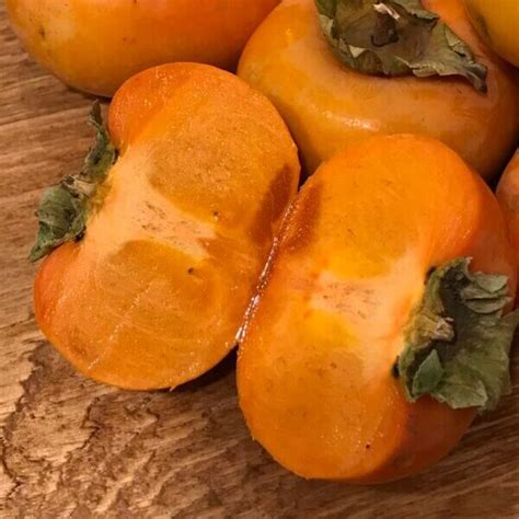 California Organic Persimmons Delivered Fuyu Variety Zava Ranch