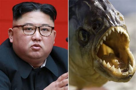 Kim Jong Un S Pop Star Ex Seen Despite Reports She Was Executed For Making A Sex Tape World