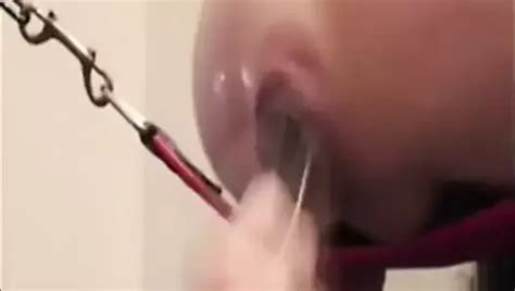 Cerdos Perversos Compilaci N Gay Xhamster