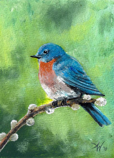 Bluebird Painting By Arie Van Der Wijst Fine Art America