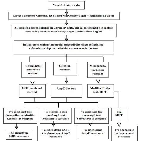 Algorithm For Screening And Phenotypic Detection Of Esbl Ampc