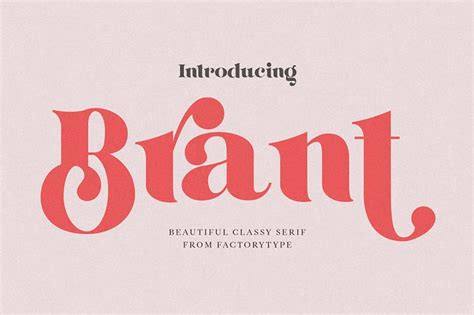 Best Book Cover Fonts to Draw Readers In