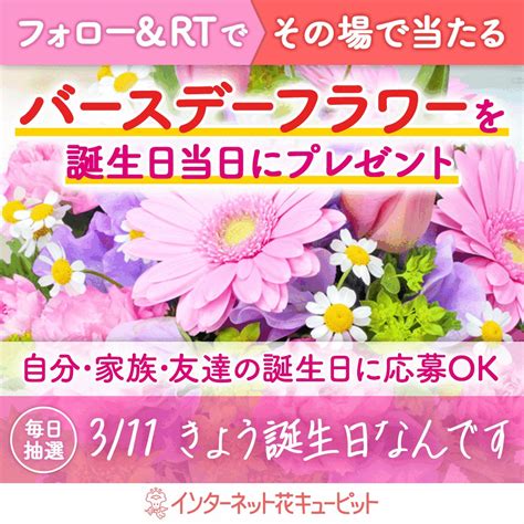 シュクラン On Twitter Rt I8791 ／ フォロー＆rtキャンペーン その場で当選！今日お花が届く🌸 きょう誕生日なんです 🎉 花キューピットが当日配達でお祝い🌼