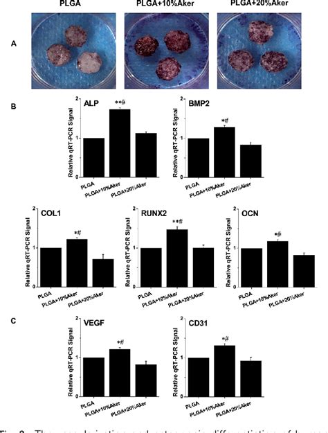 Figure From Bioceramic Akermanite Enhanced Vascularization And