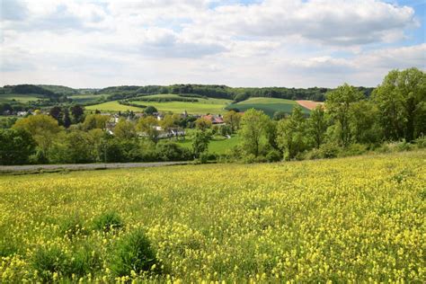 wandeling bij klimmen kastelen geul en gerendal grijsopreisnl