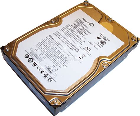 size   megabyte dimensions guide