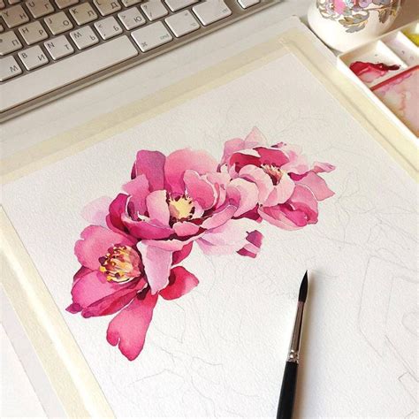 flower drawing watercolor illustration watercolour inspiration