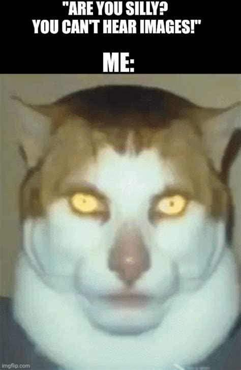 Monday Left Me Broken Memes And S Imgflip