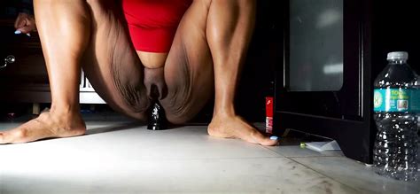 Free BBW Anal Dildo Porn Videos XHamster