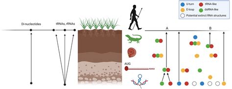 Evolution and Epigenetics: Annals of the New York Academy of Sciences