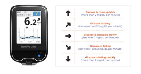 Freestyle Libre 2 User Guide Pdf