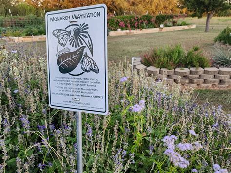 Killeen Municipal Court Garden - Bell County Master Gardener