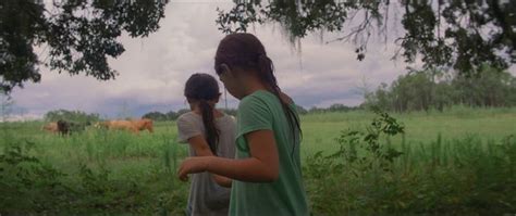 Проект Флорида