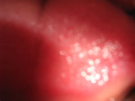 Amateur Lovers 1312 IMG 159 Porn Pic