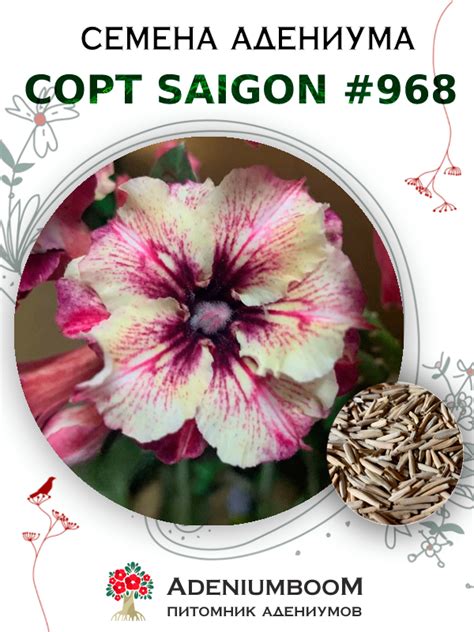 Адениум Тучный от Saigon Adenium №968: купить семена в интернет ...